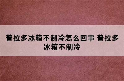 普拉多冰箱不制冷怎么回事 普拉多冰箱不制冷